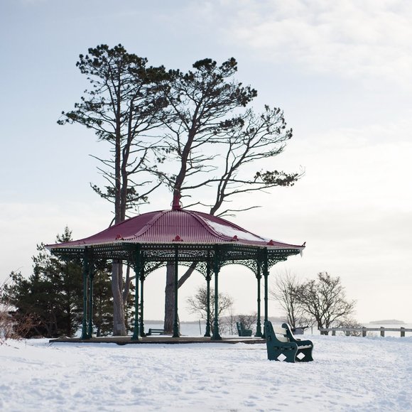 Point Pleasant Park Winter Postcard - Halifax, Nova Scotia, Canada - Picture 1 of 3